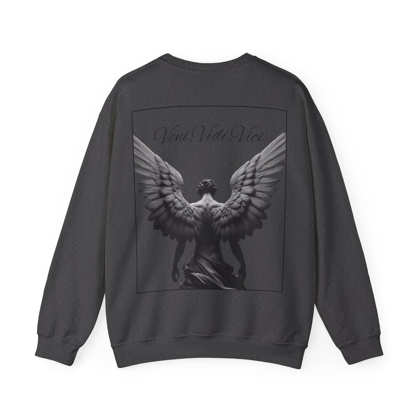 Long Sleeve Shirt -Veni,Vidi,Vici Sweatshirt