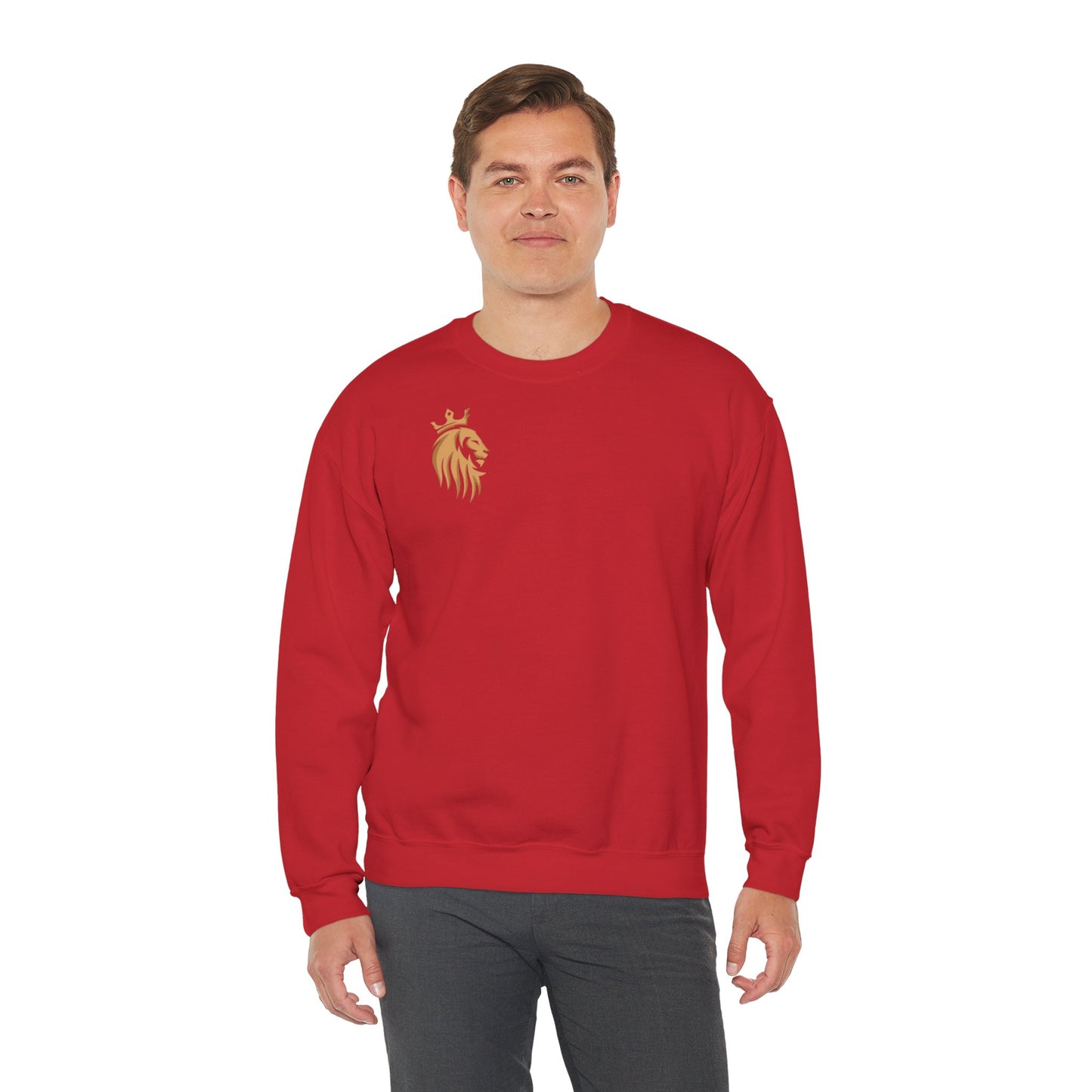 Long Sleeve Shirt -Veni,Vidi,Vici Sweatshirt