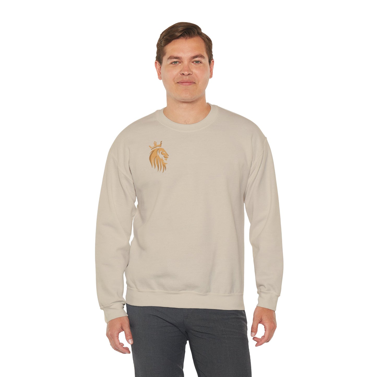 Long Sleeve Shirt -Veni,Vidi,Vici Sweatshirt