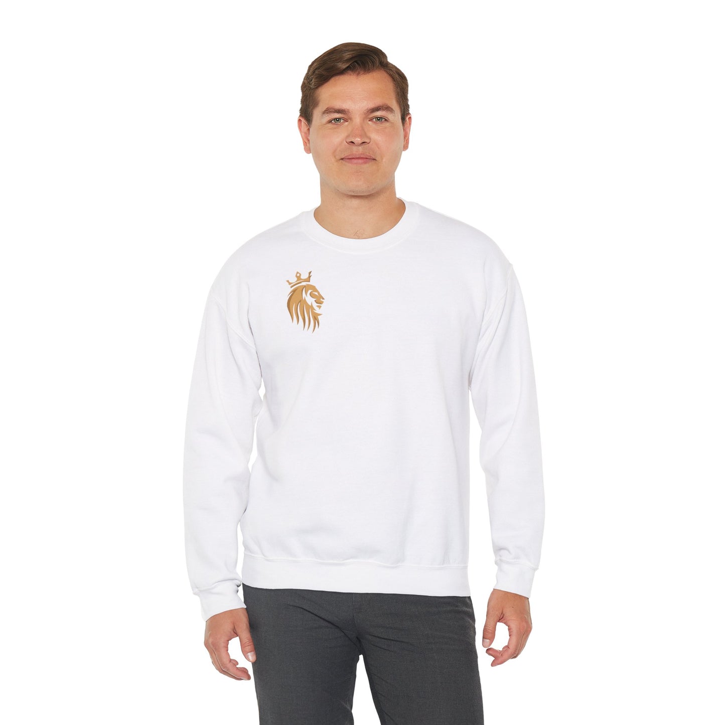 Long Sleeve Shirt -Veni,Vidi,Vici Sweatshirt