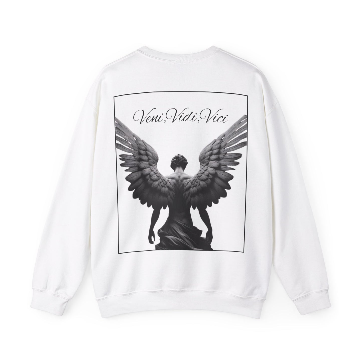 Long Sleeve Shirt -Veni,Vidi,Vici Sweatshirt