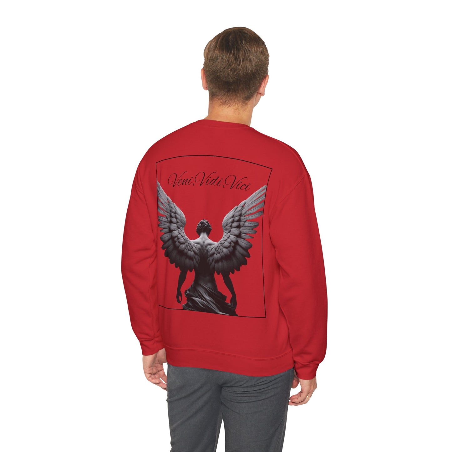 Long Sleeve Shirt -Veni,Vidi,Vici Sweatshirt