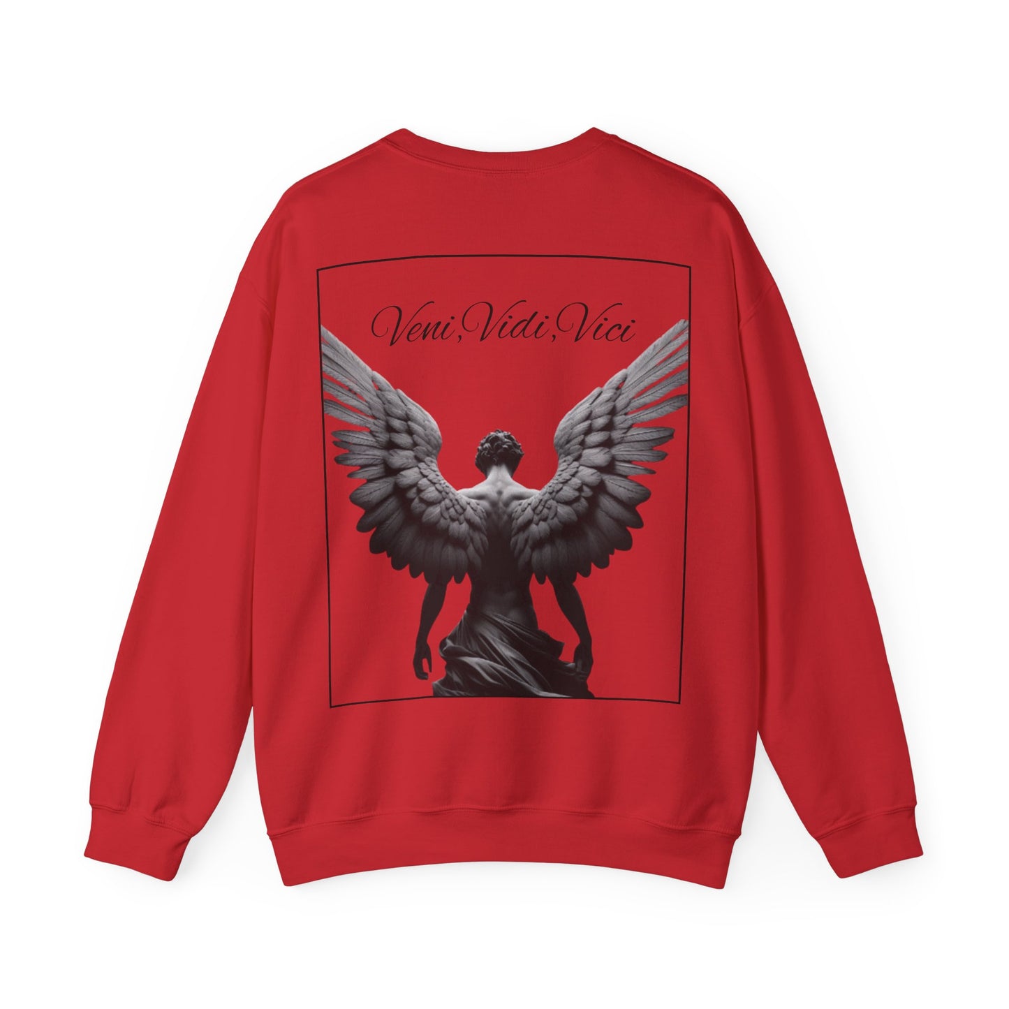 Long Sleeve Shirt -Veni,Vidi,Vici Sweatshirt